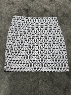 Talbots classic skirt
